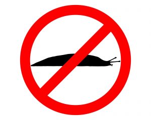 no slug sign